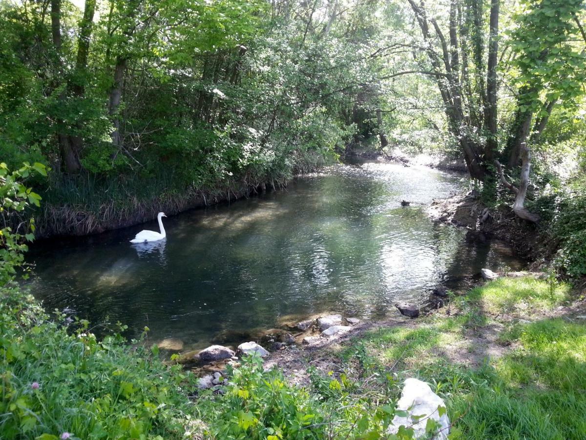 فندق Cote Provence ليه ثور المظهر الخارجي الصورة